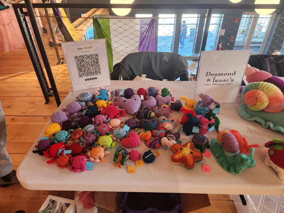 Trans Day of Visibility fair in Northampton